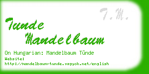 tunde mandelbaum business card
